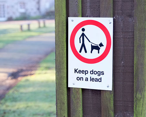 Dog Notices image
